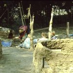 My beautiful picture